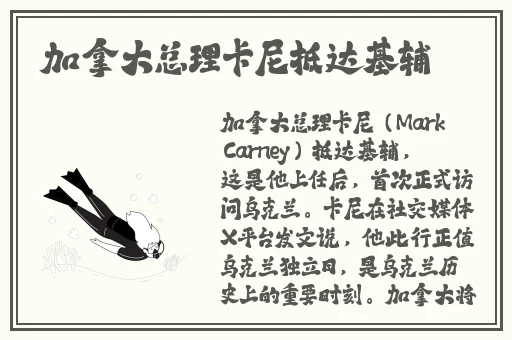 榴莲视频黄色版